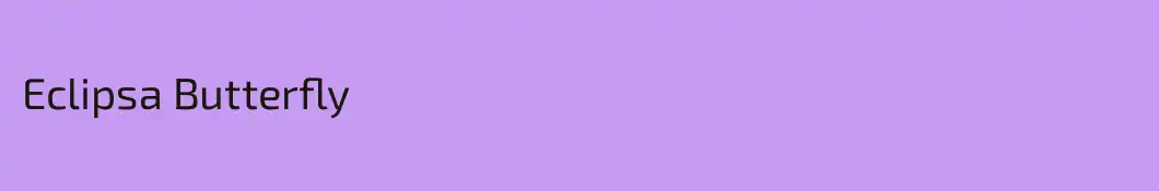Eclipsa Butterfly 